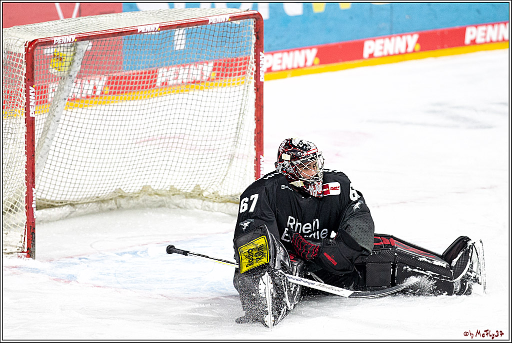 PENNY DEL;  Koelner Haie - Wolfsburg Grizzlys; Koeln, 17.03.2021